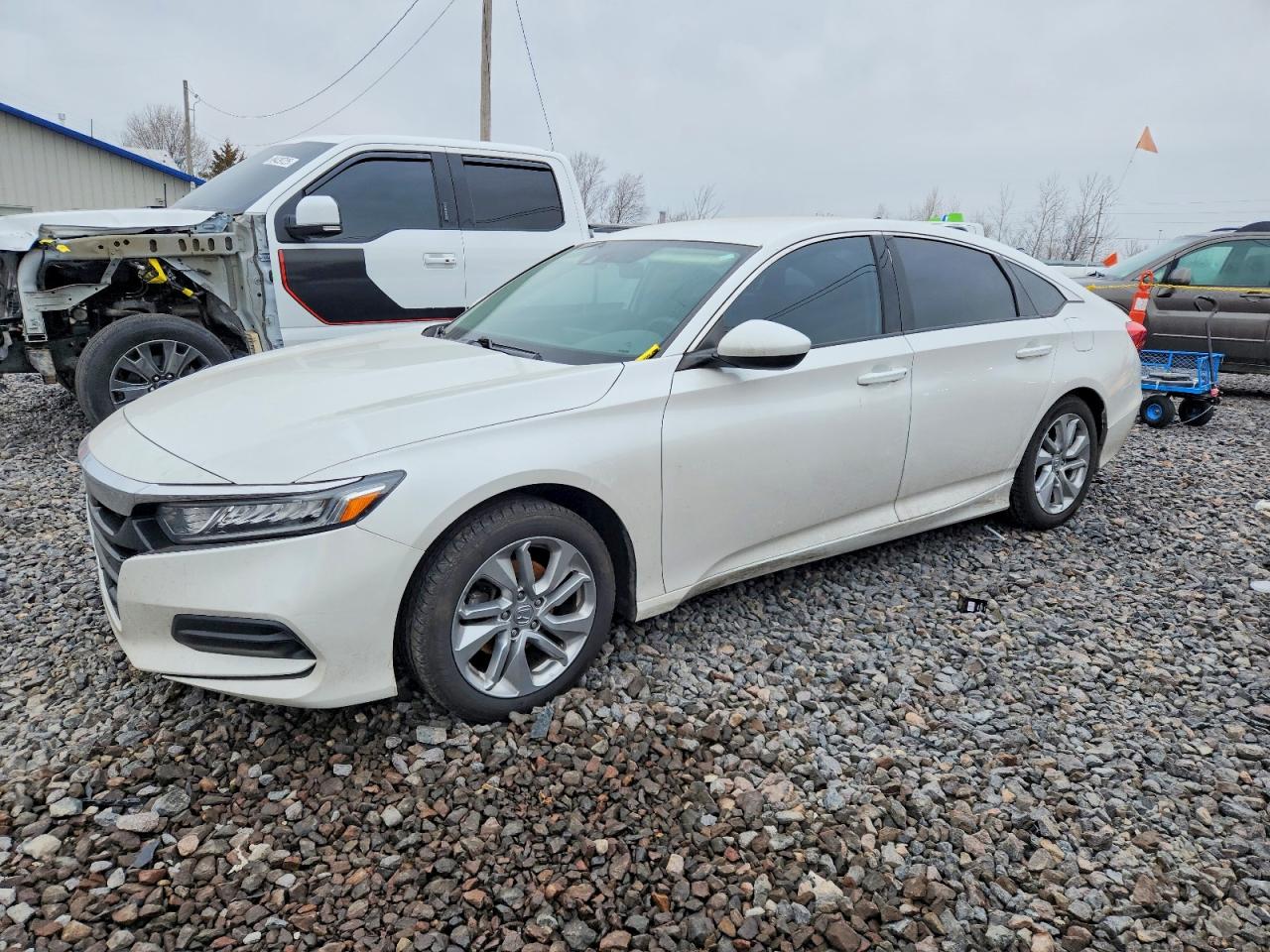 Salvage Honda Accord Image
