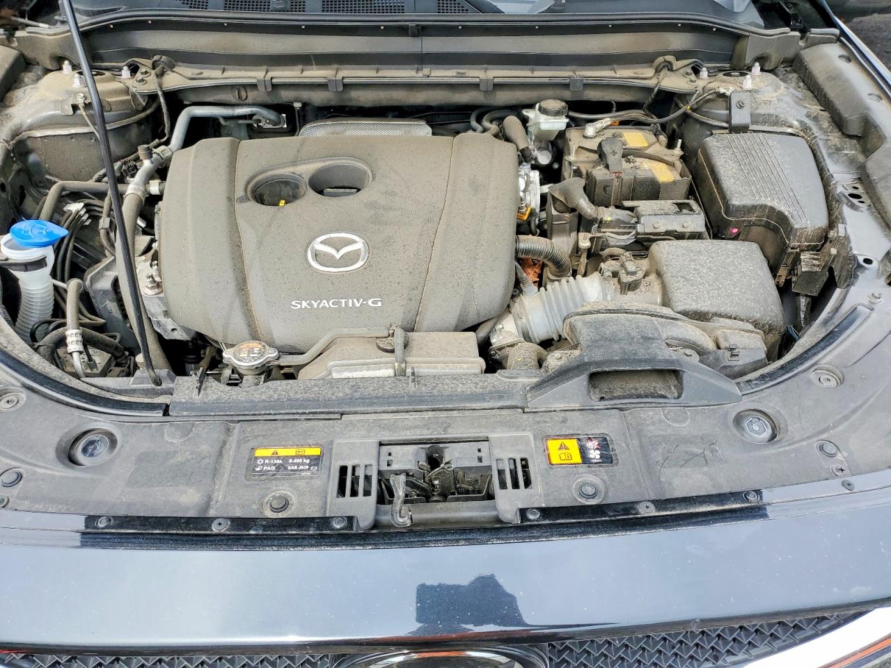 Mazda Cx Sport