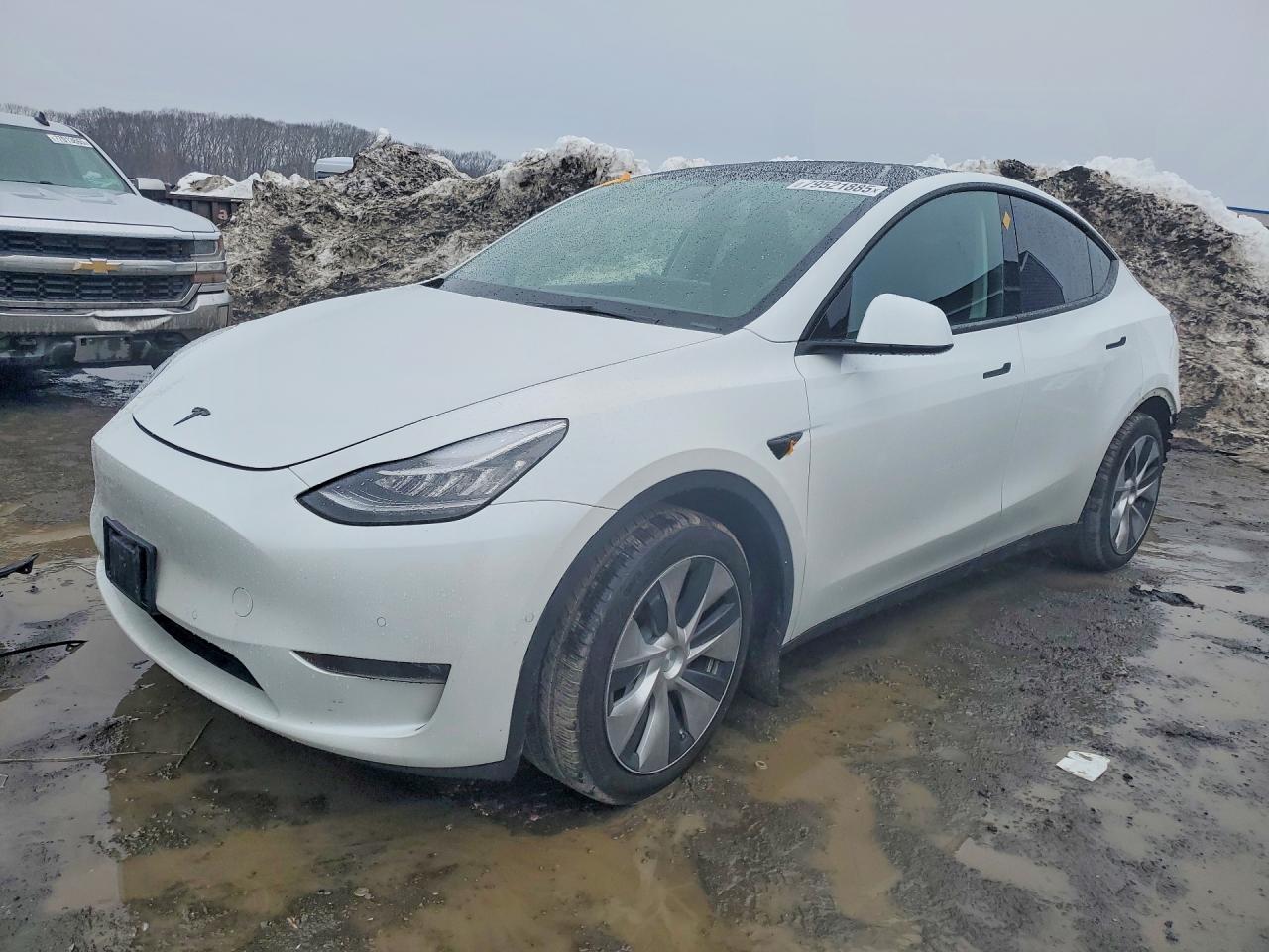 Salvage Tesla Model Y Image