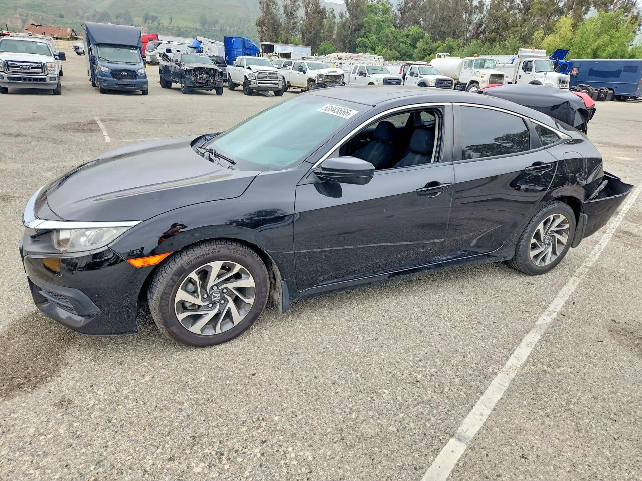 Salvage Honda Civic Image