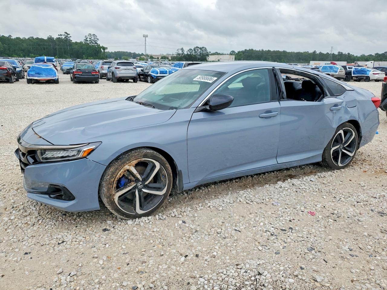 Salvage Honda Accord Image