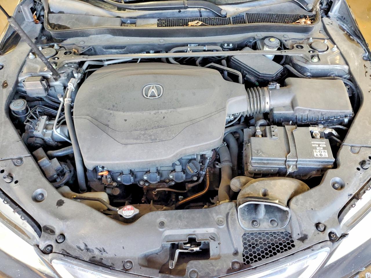 Acura TLX