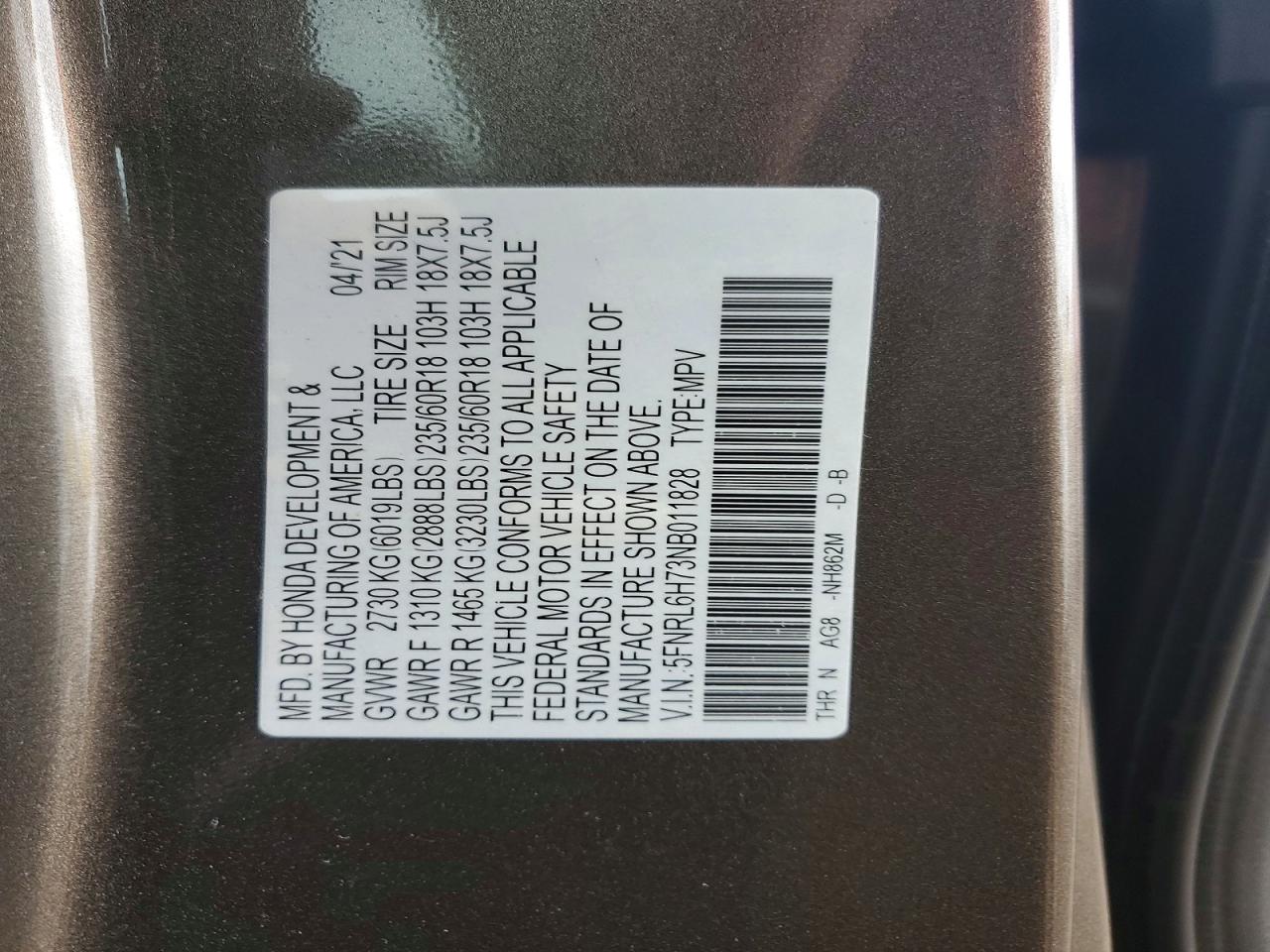Honda Odyssey Exl