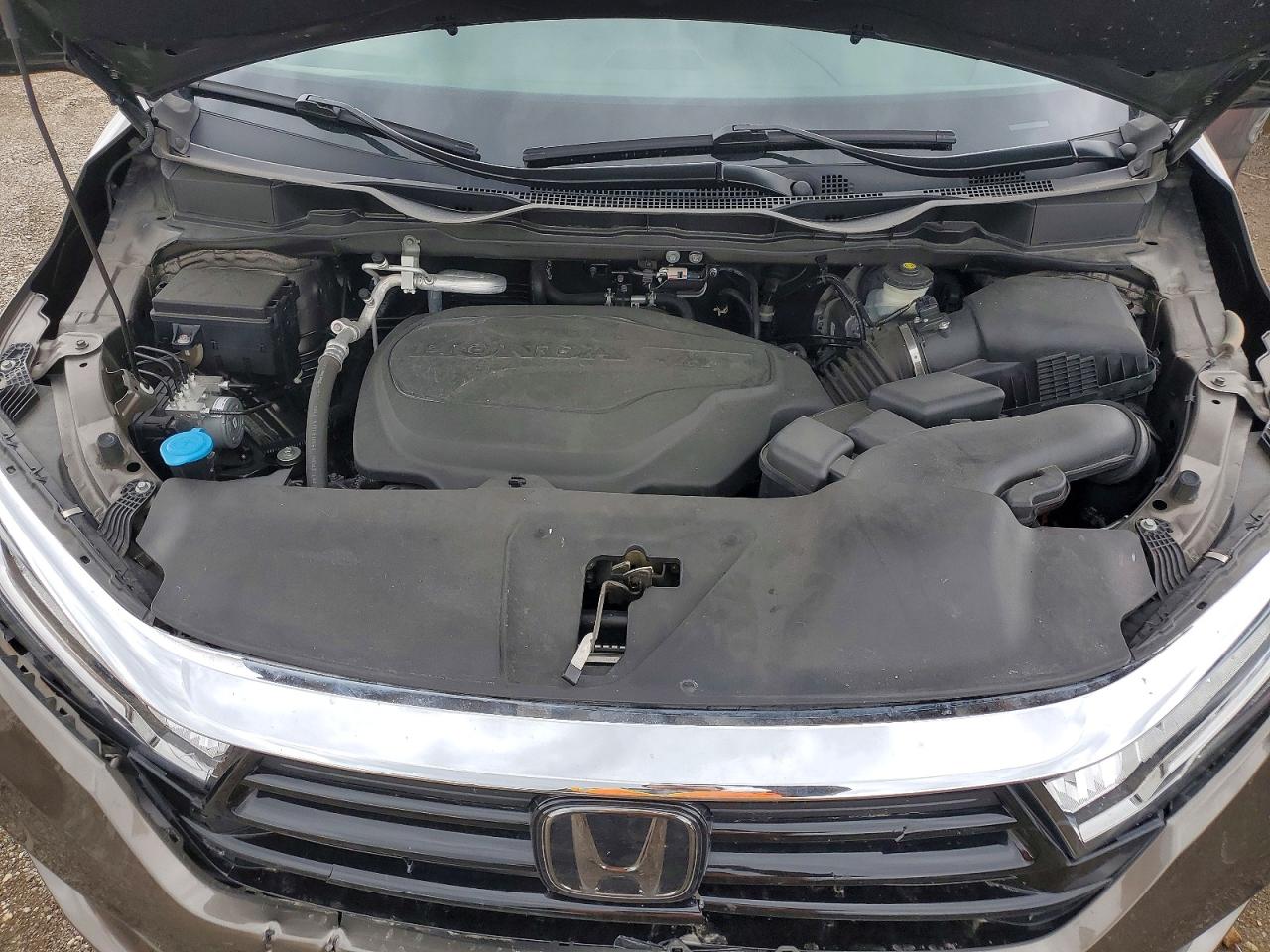 Honda Odyssey Exl