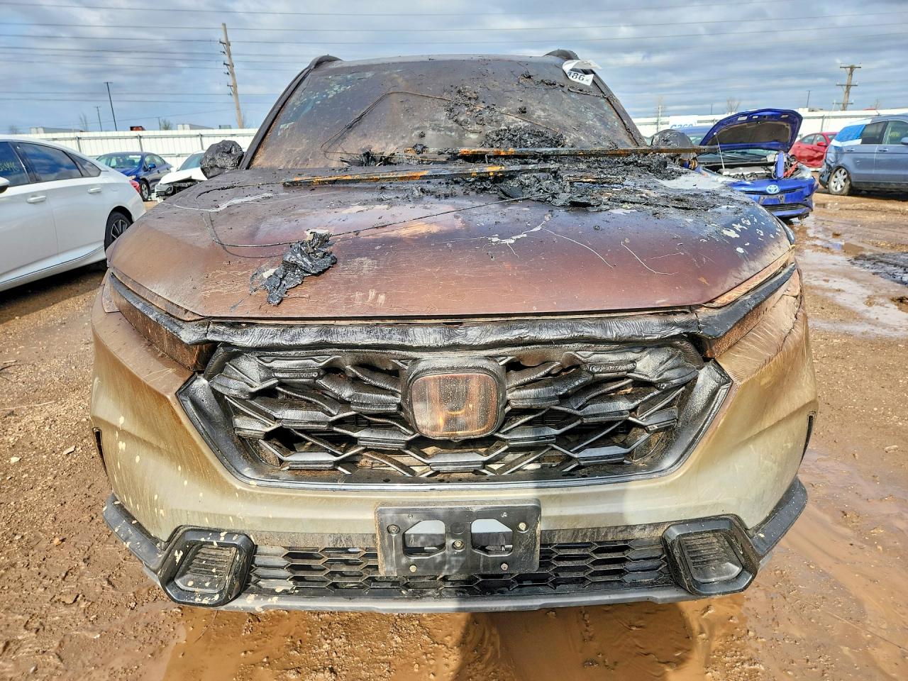 Honda Crv Sport