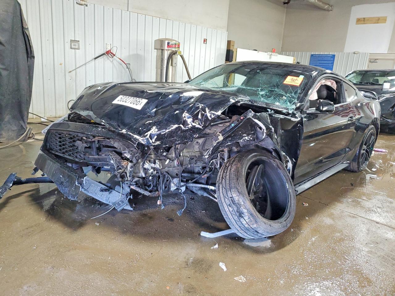 Salvage Ford Mustang Image