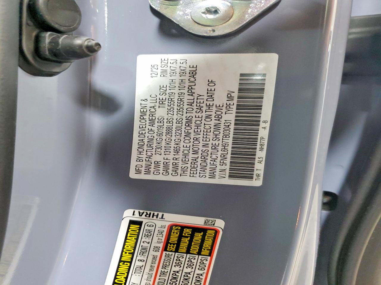 Honda Odyssey Elite