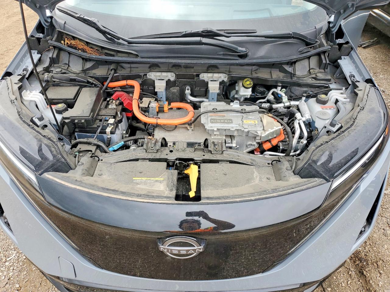 Nissan Ariya Platinum +