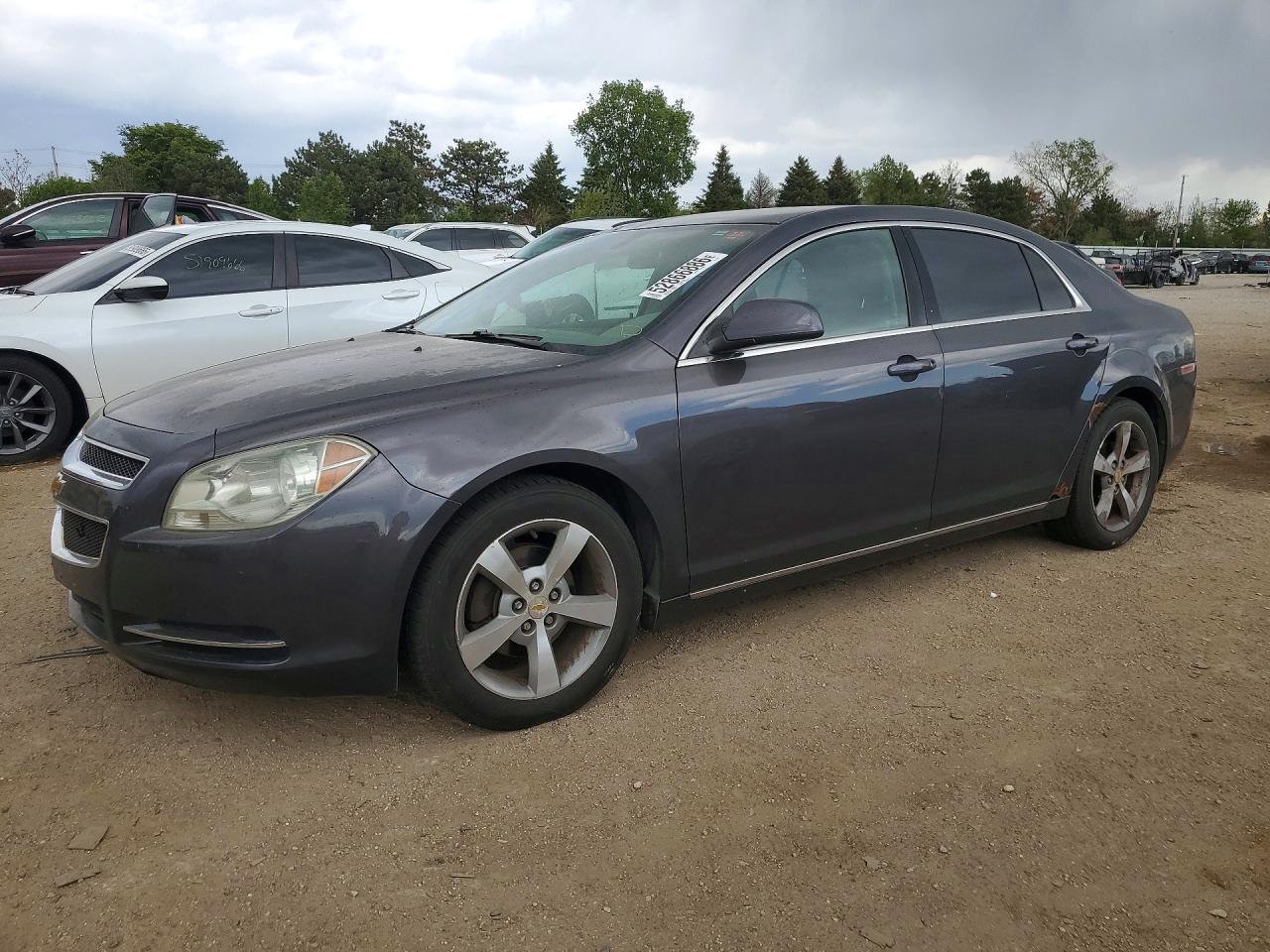 Salvage Chevrolet Malibu Image