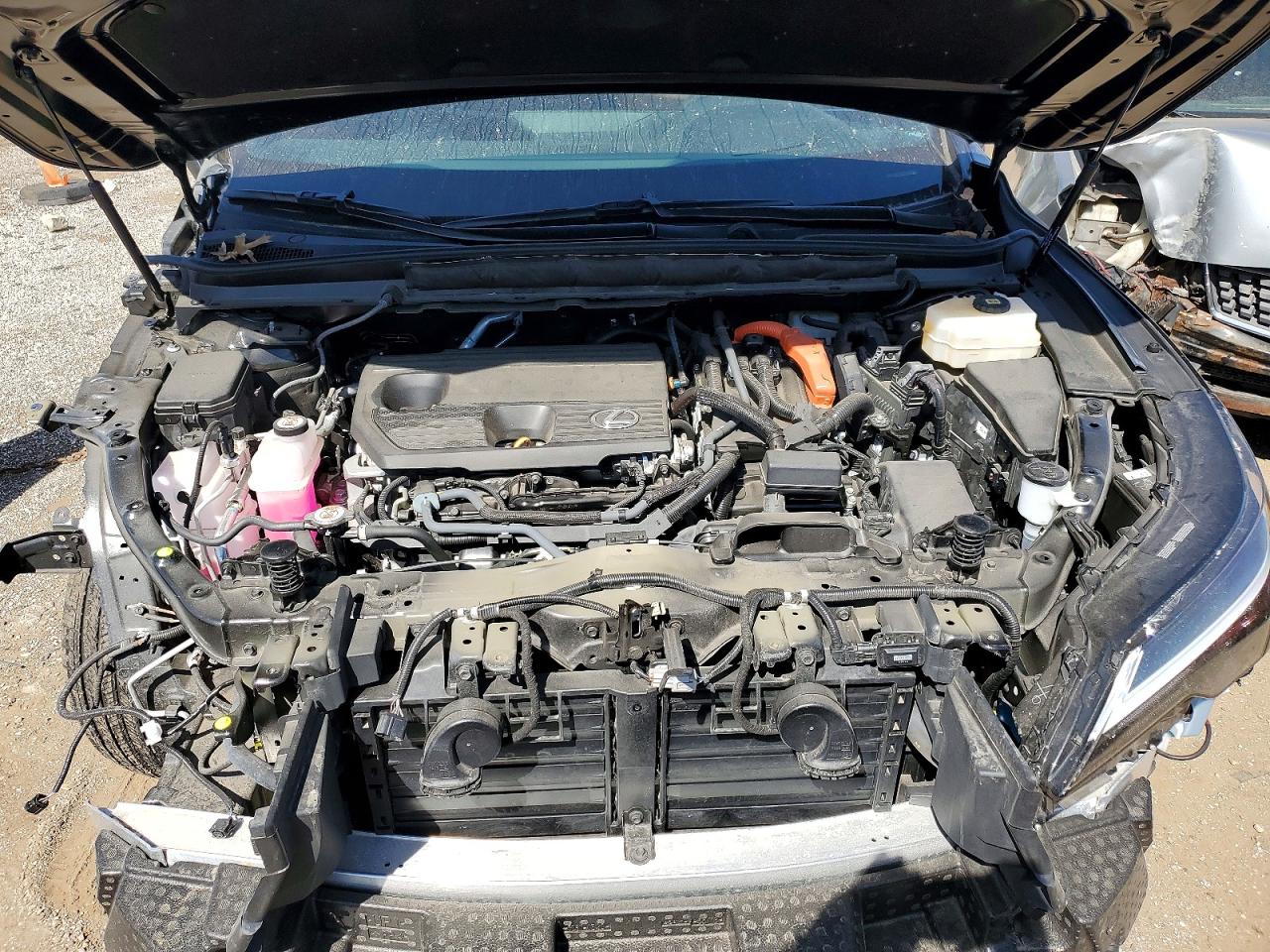 Lexus Other Premium+