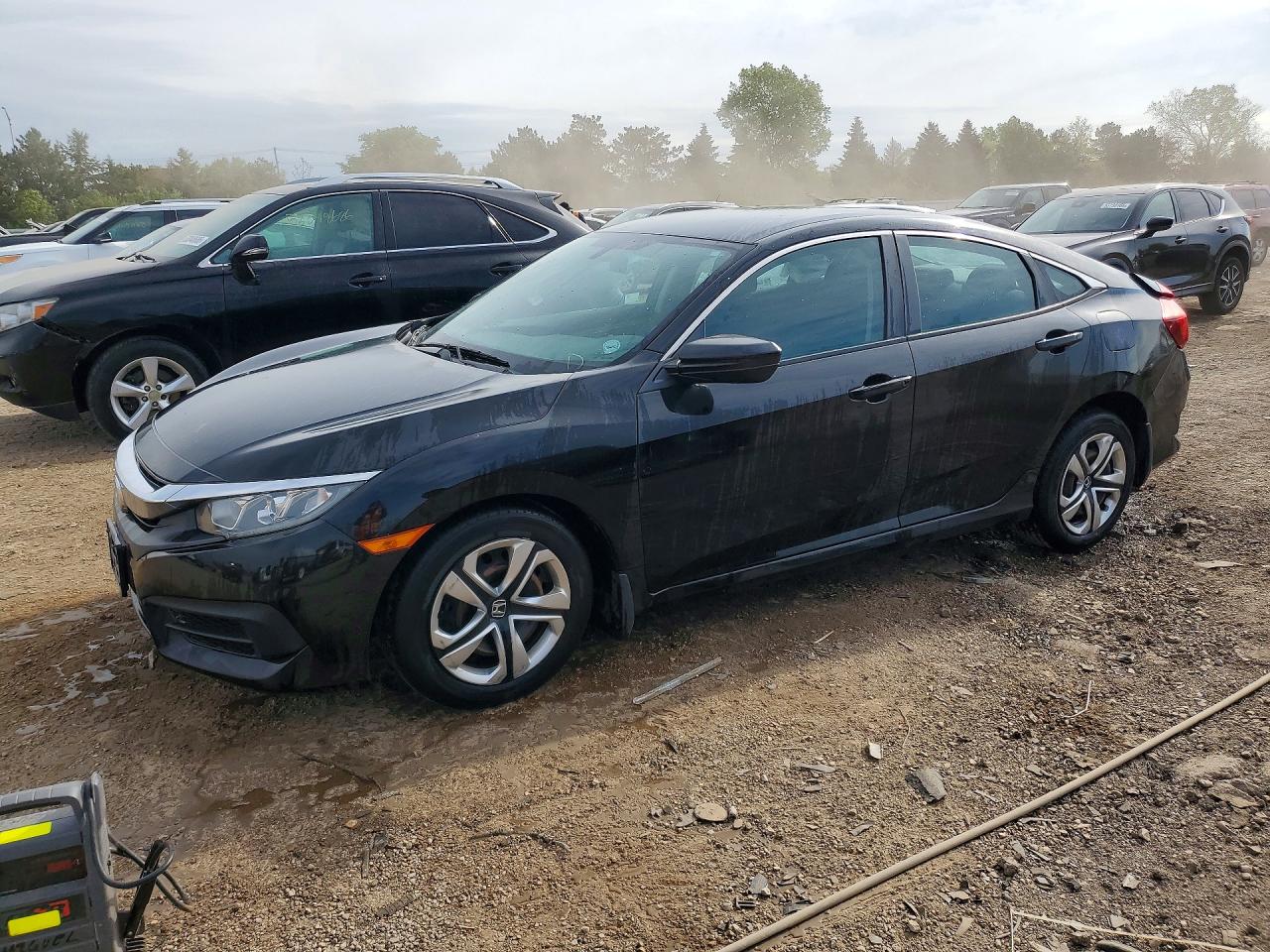 Salvage Honda Civic Image