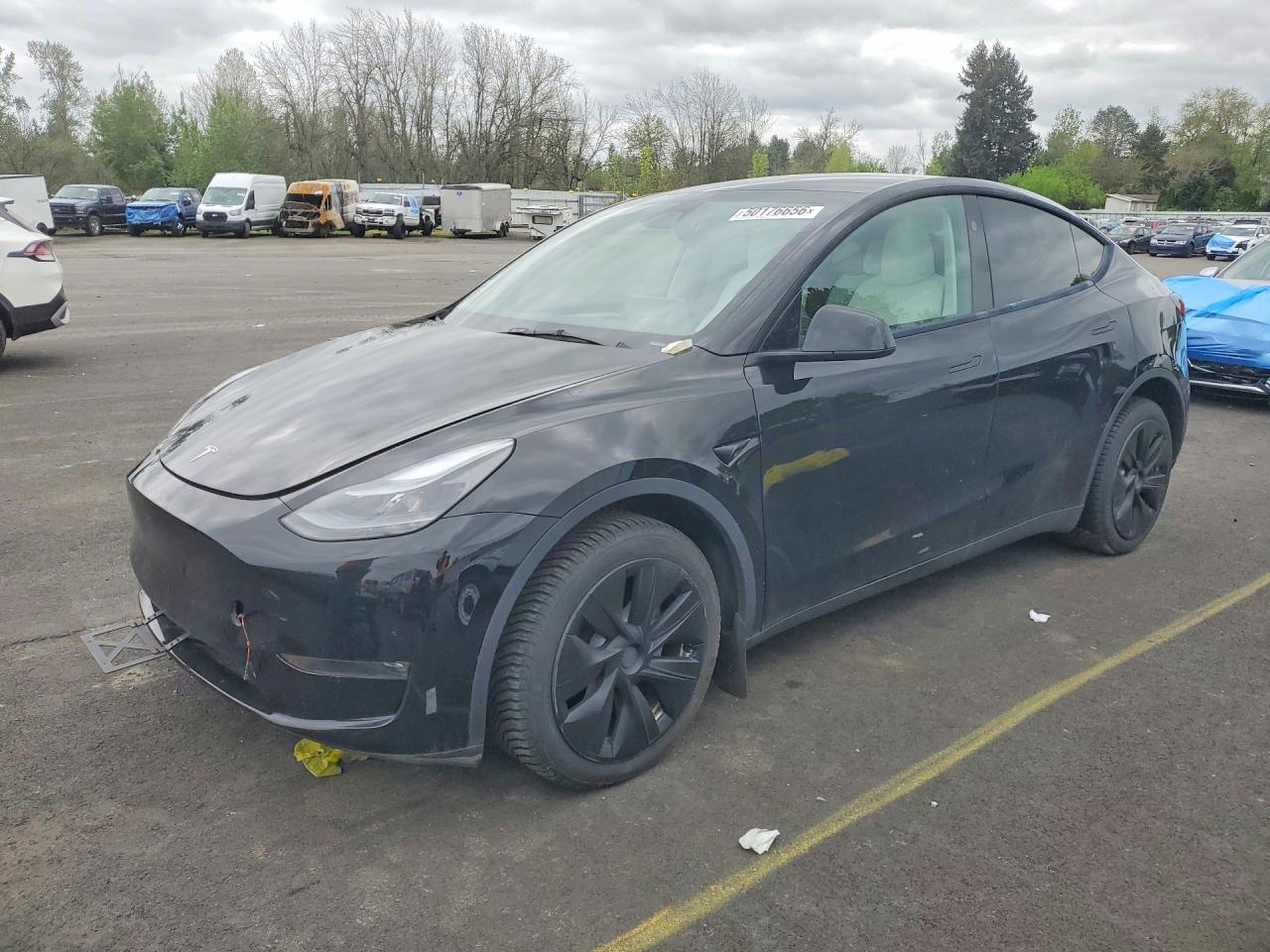 Salvage Tesla Model Y Image