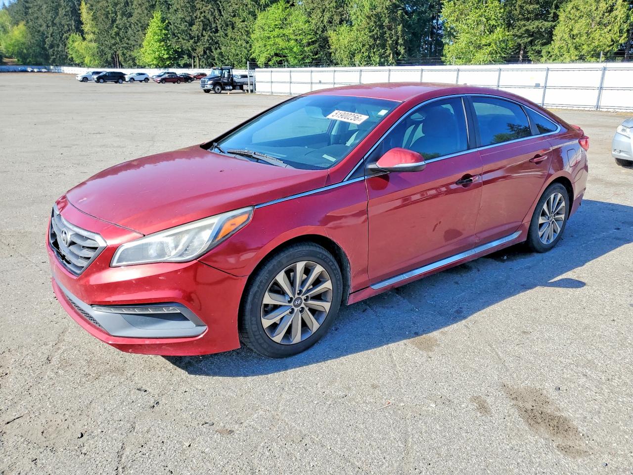 Salvage Hyundai SONATA Image