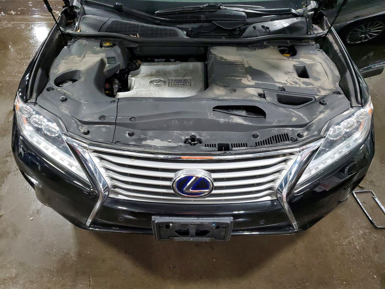 Lexus RX Base