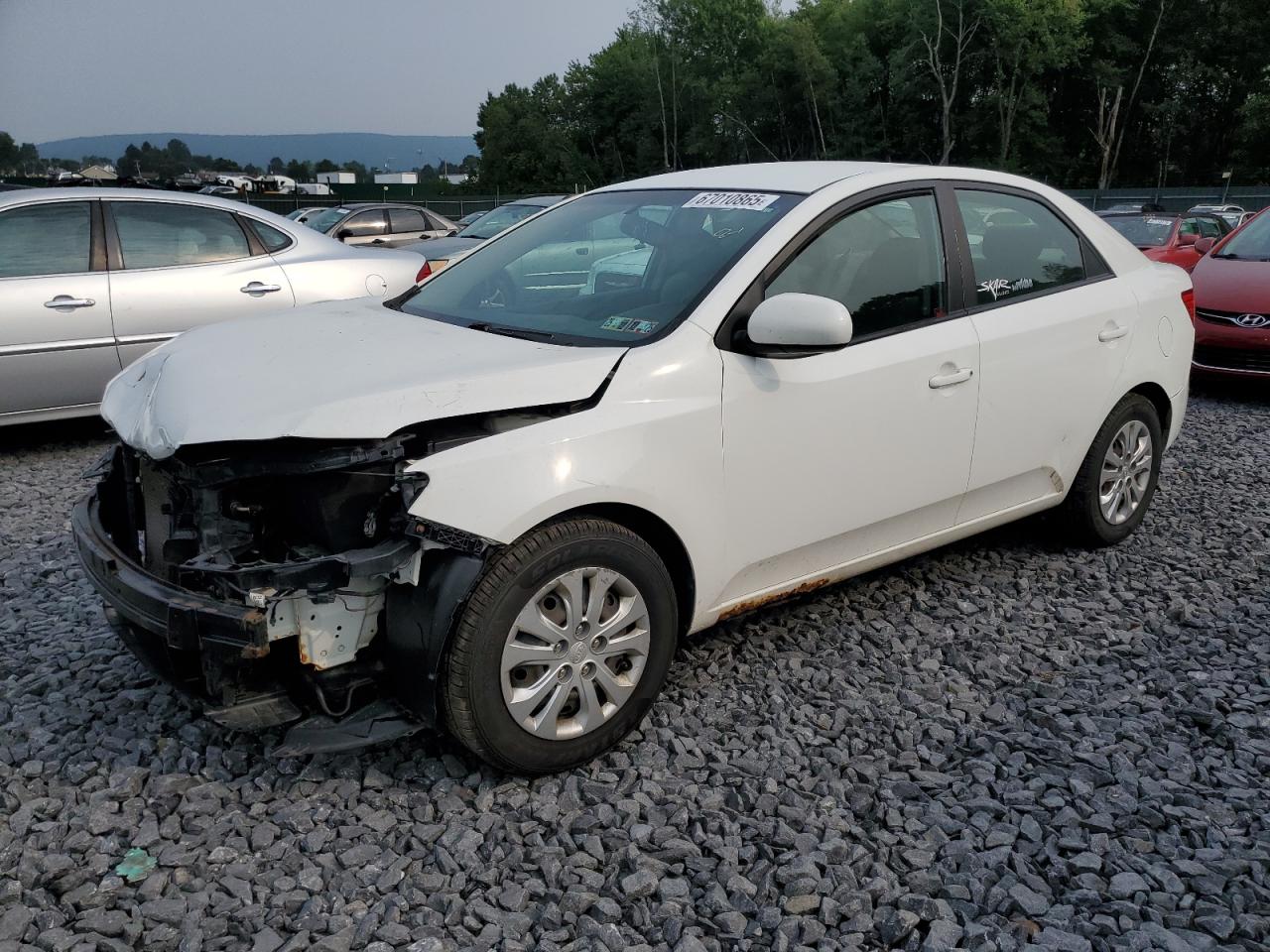 Salvage Kia Forte Image