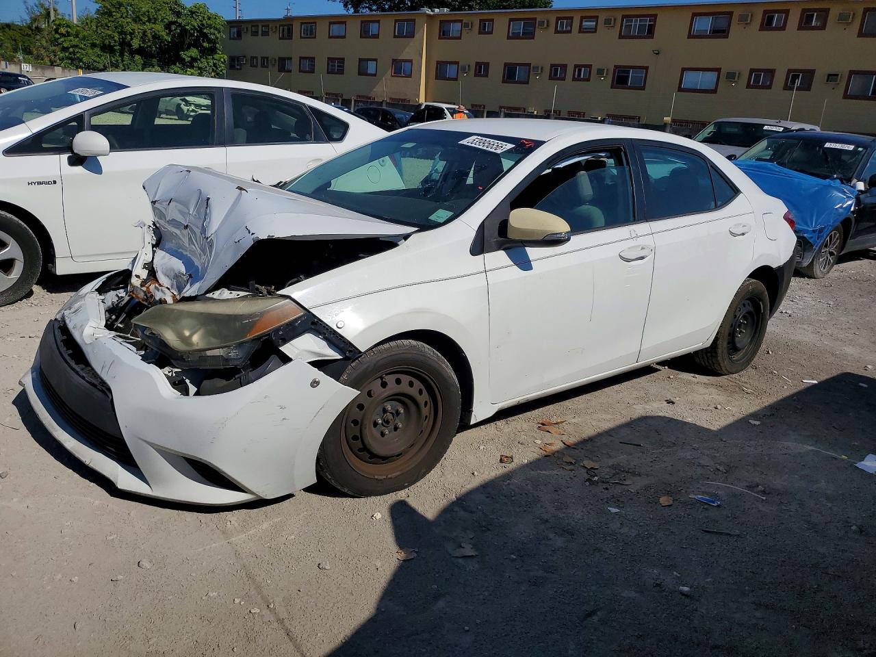 Salvage Toyota Corolla Image
