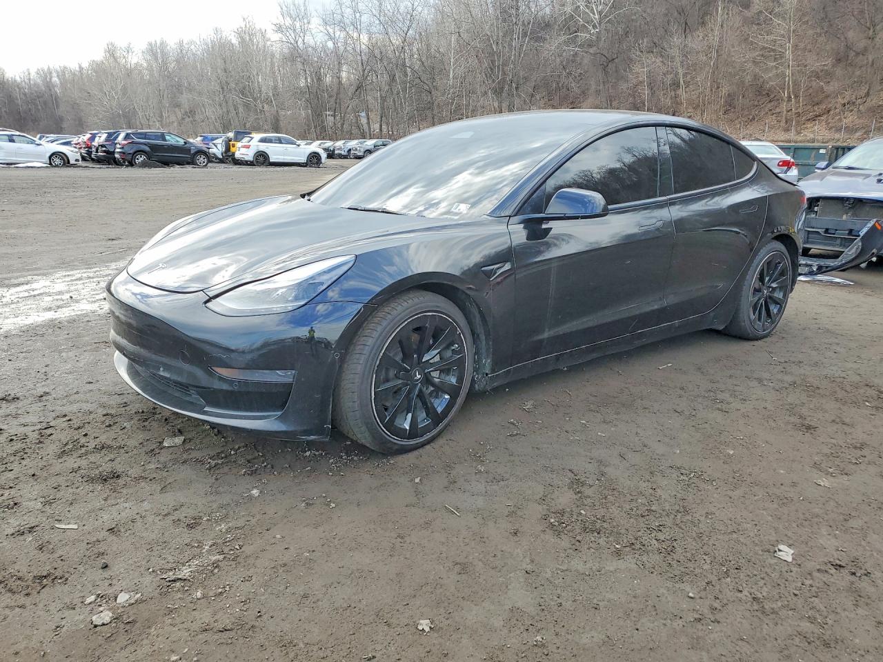 Salvage Tesla Model 3 Image