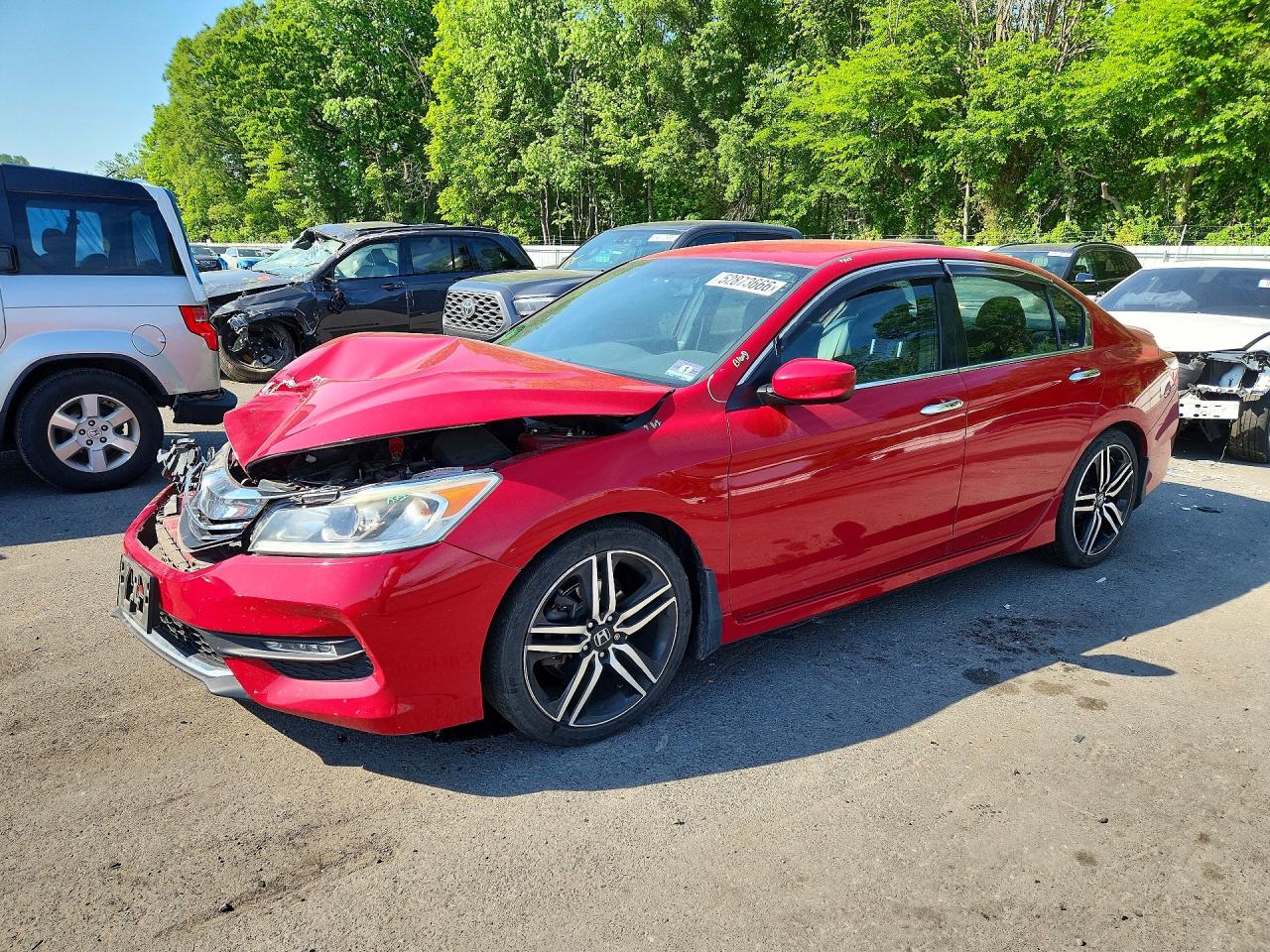 Salvage Honda Accord Image