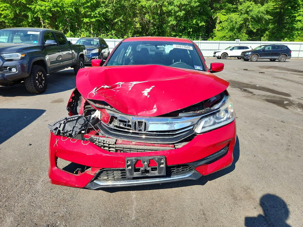 Honda Accord Sport