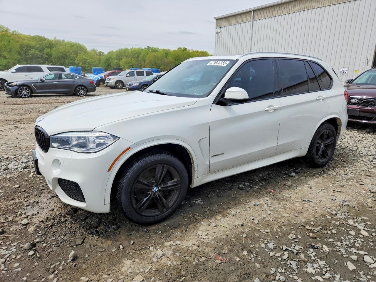Salvage BMW X Series Image