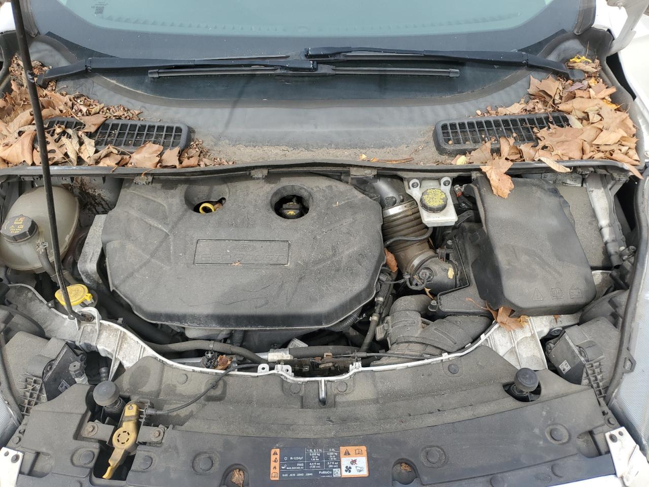 Ford Escape Se