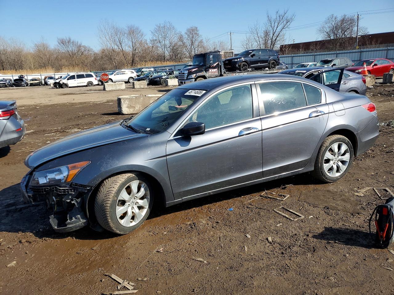 Salvage Honda Accord Image