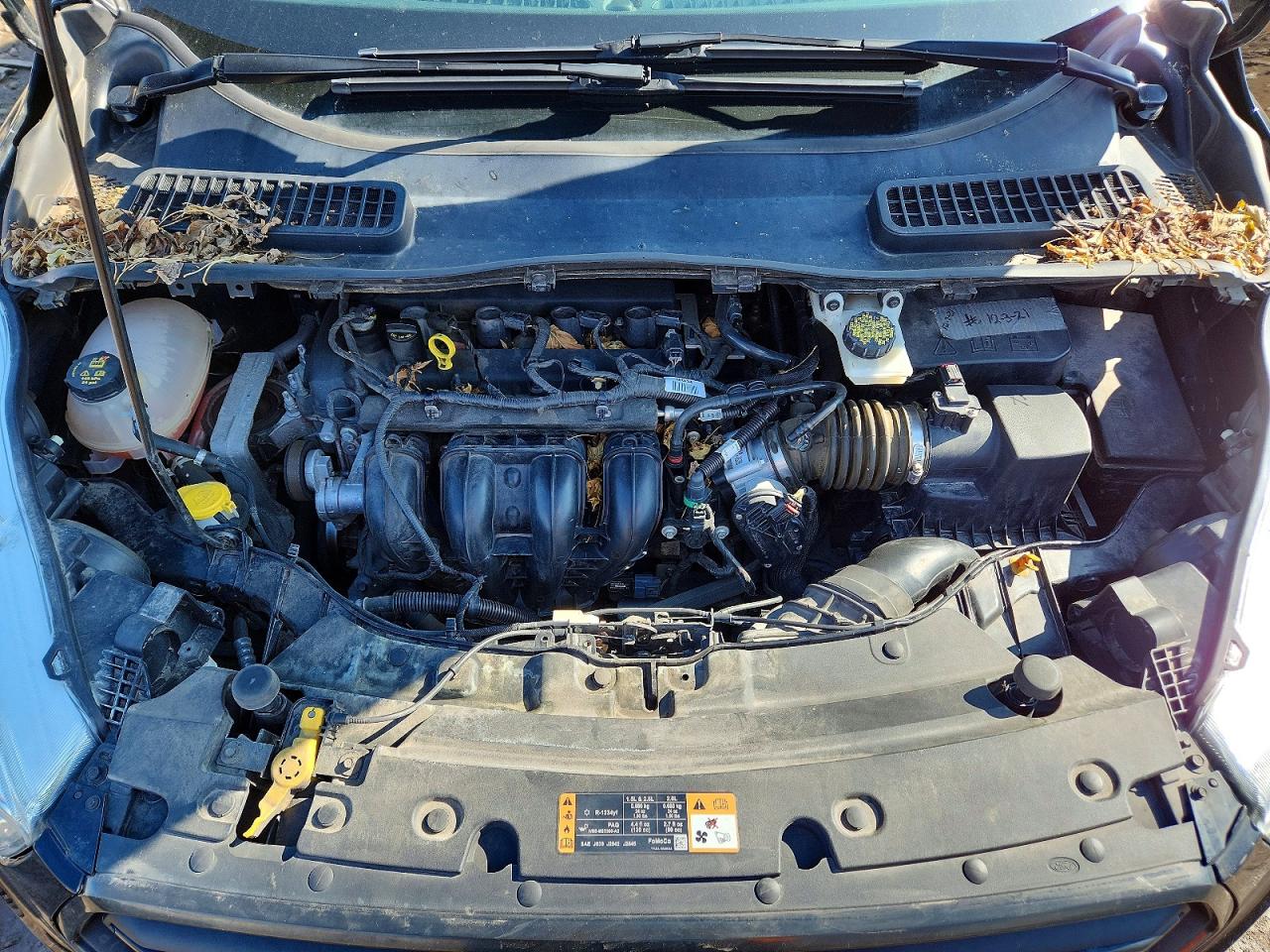 Ford Escape S