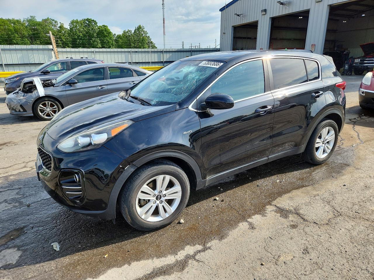 Salvage Kia Sportage Image