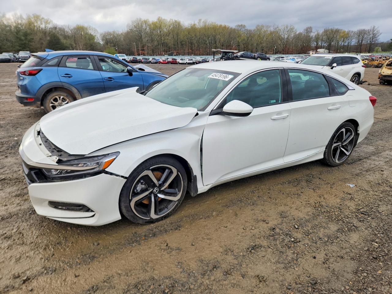 Salvage Honda Accord Image