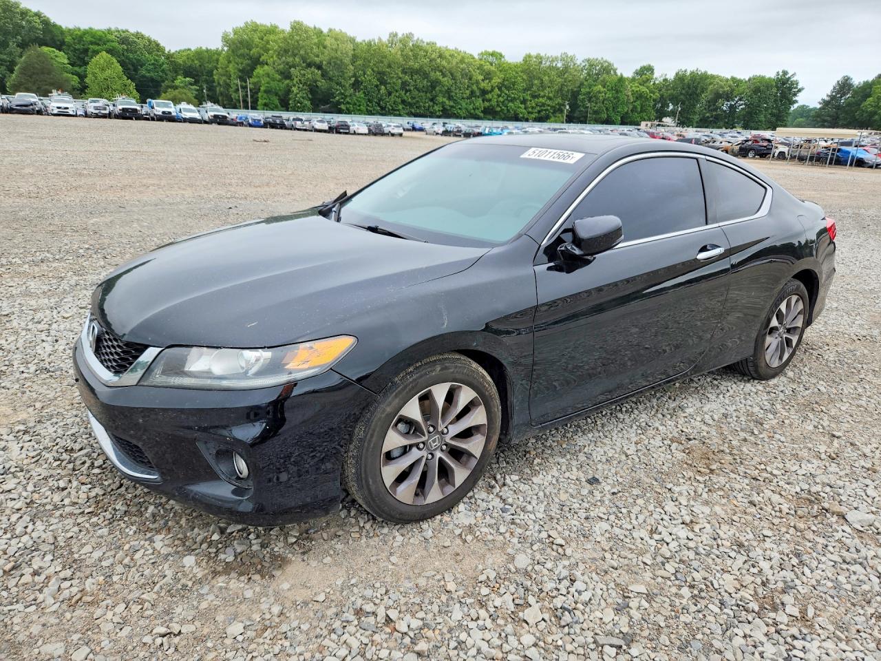Salvage Honda Accord Image