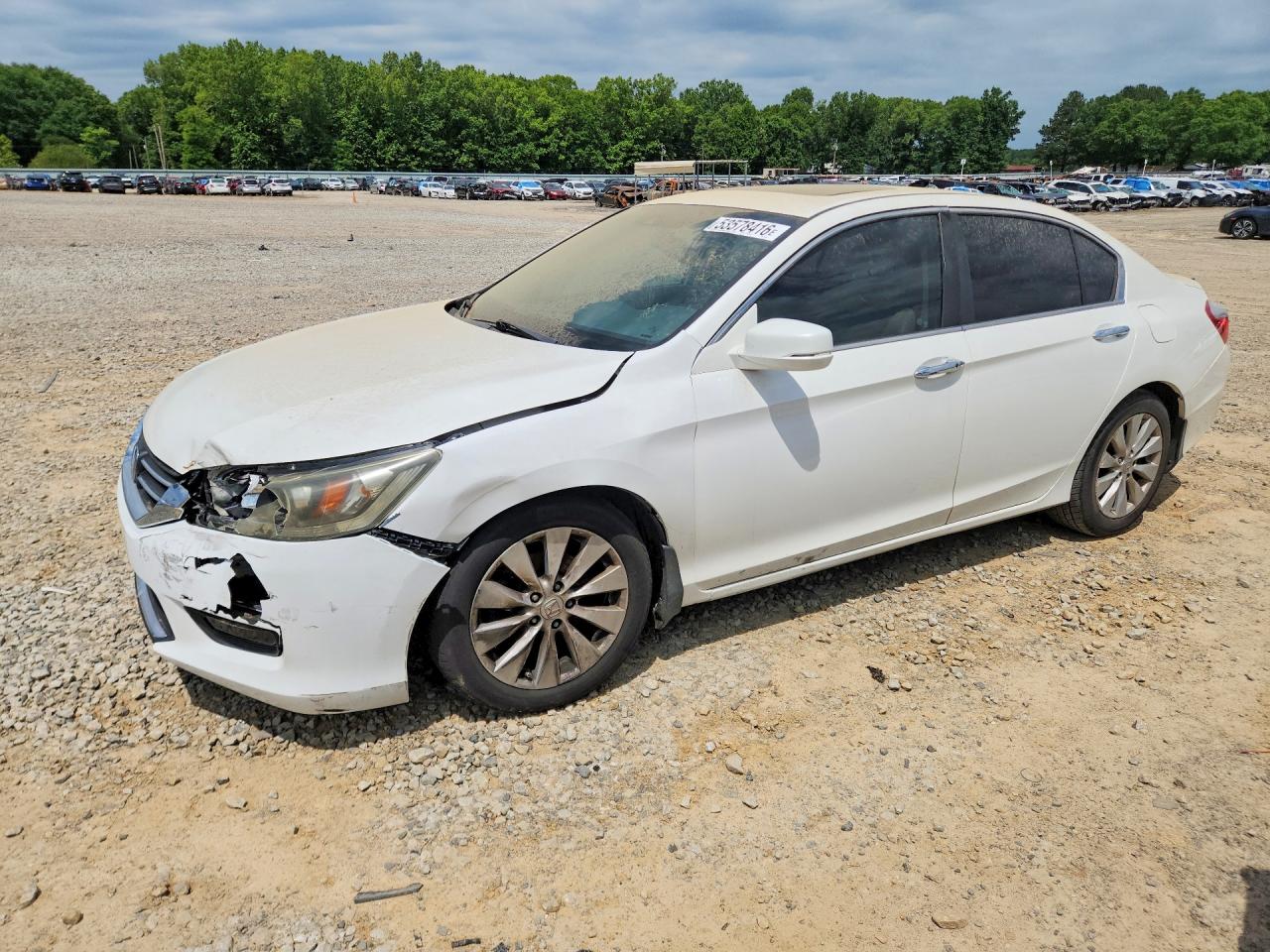 Salvage Honda Accord Image