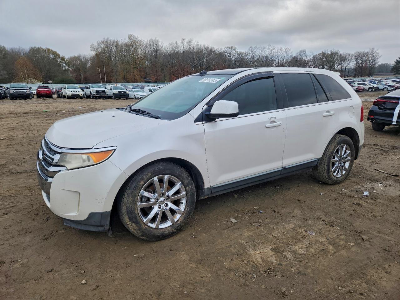 Salvage Ford Edge Image
