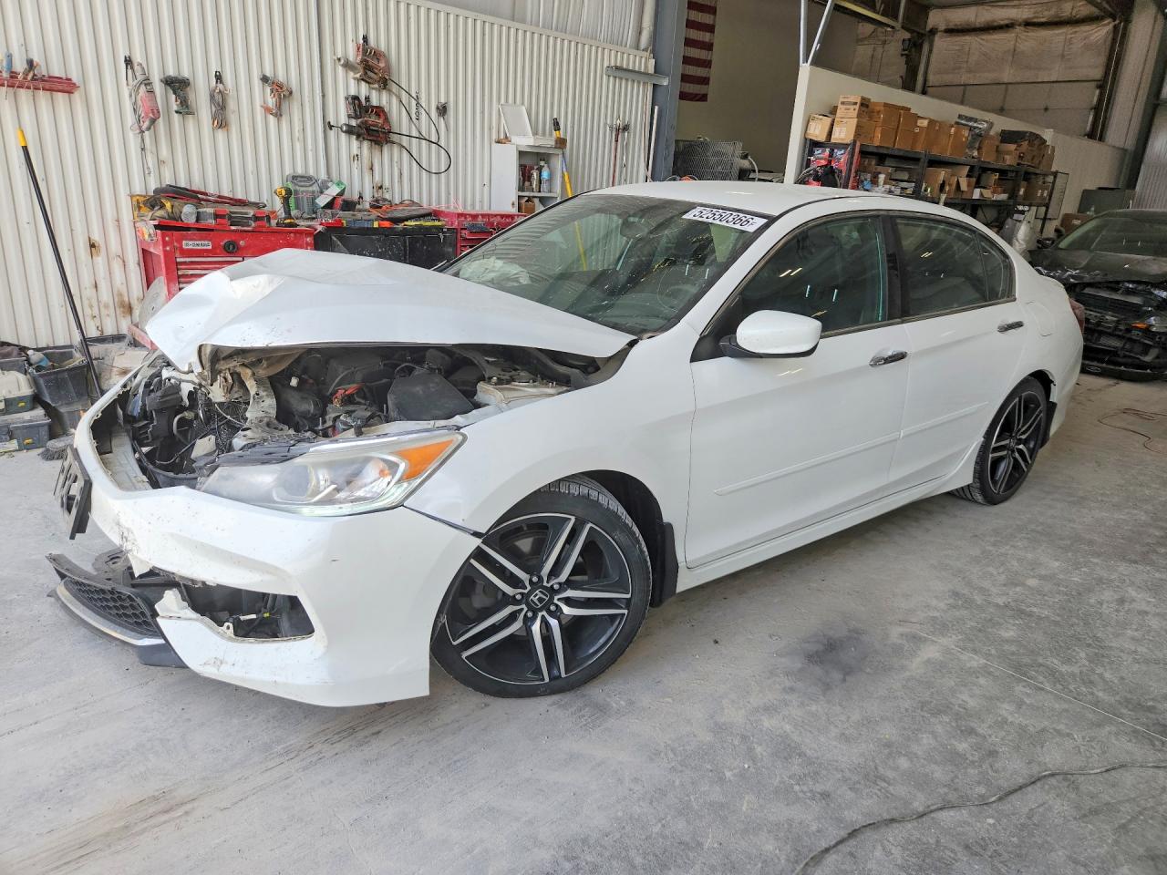 Salvage Honda Accord Image