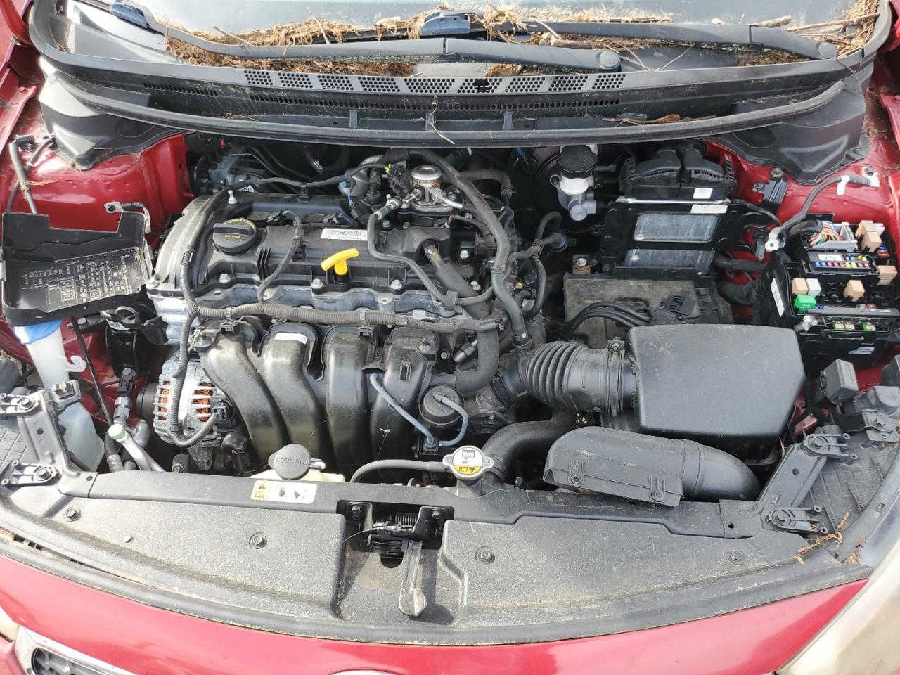 Kia Forte Ex
