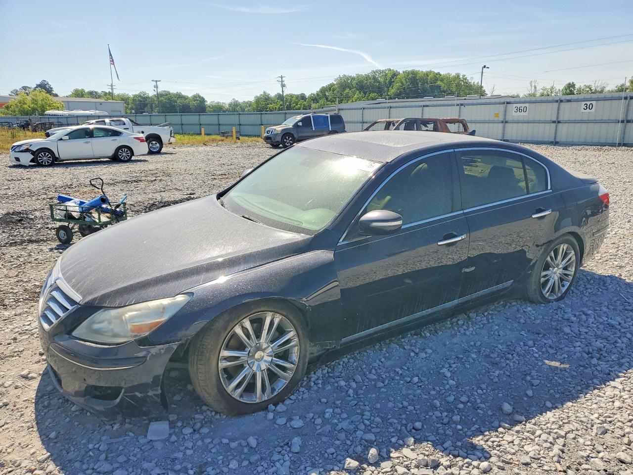 Salvage Hyundai Genesis Image