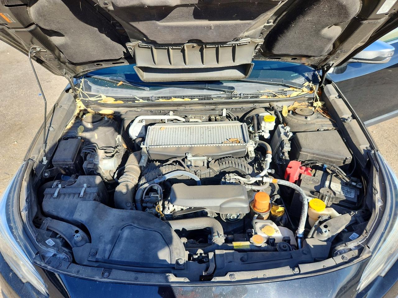 Subaru Outback Touring