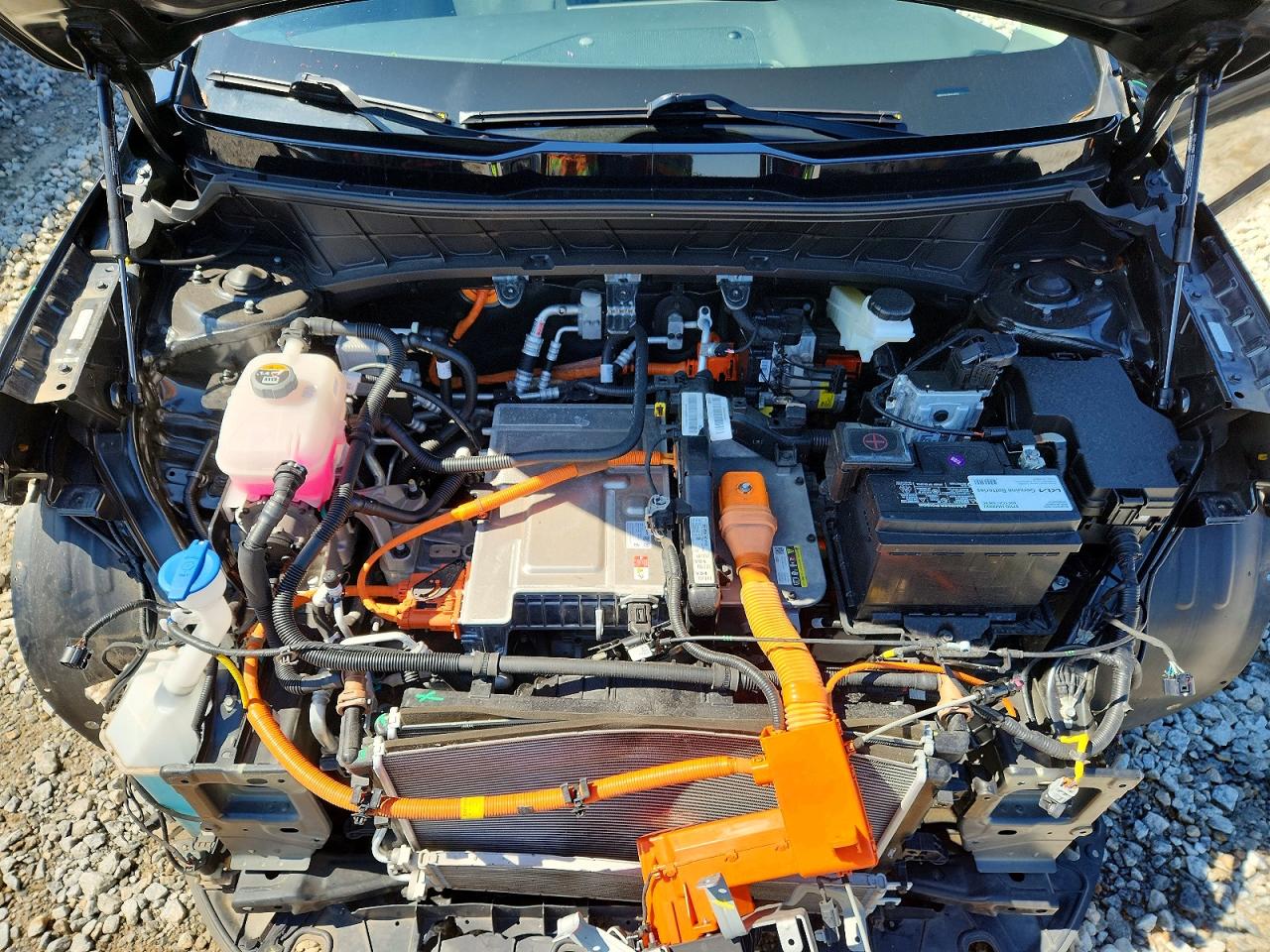 Kia Niro Wind