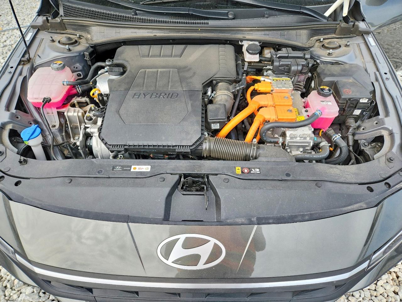 Hyundai ELANTRA Blue