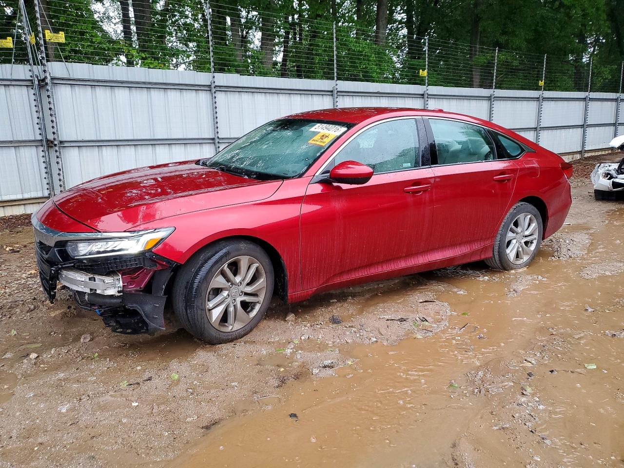 Salvage Honda Accord Image