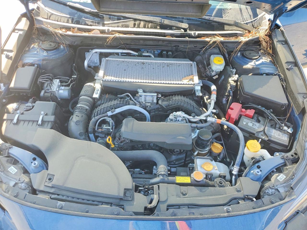 Subaru Outback Wilderness