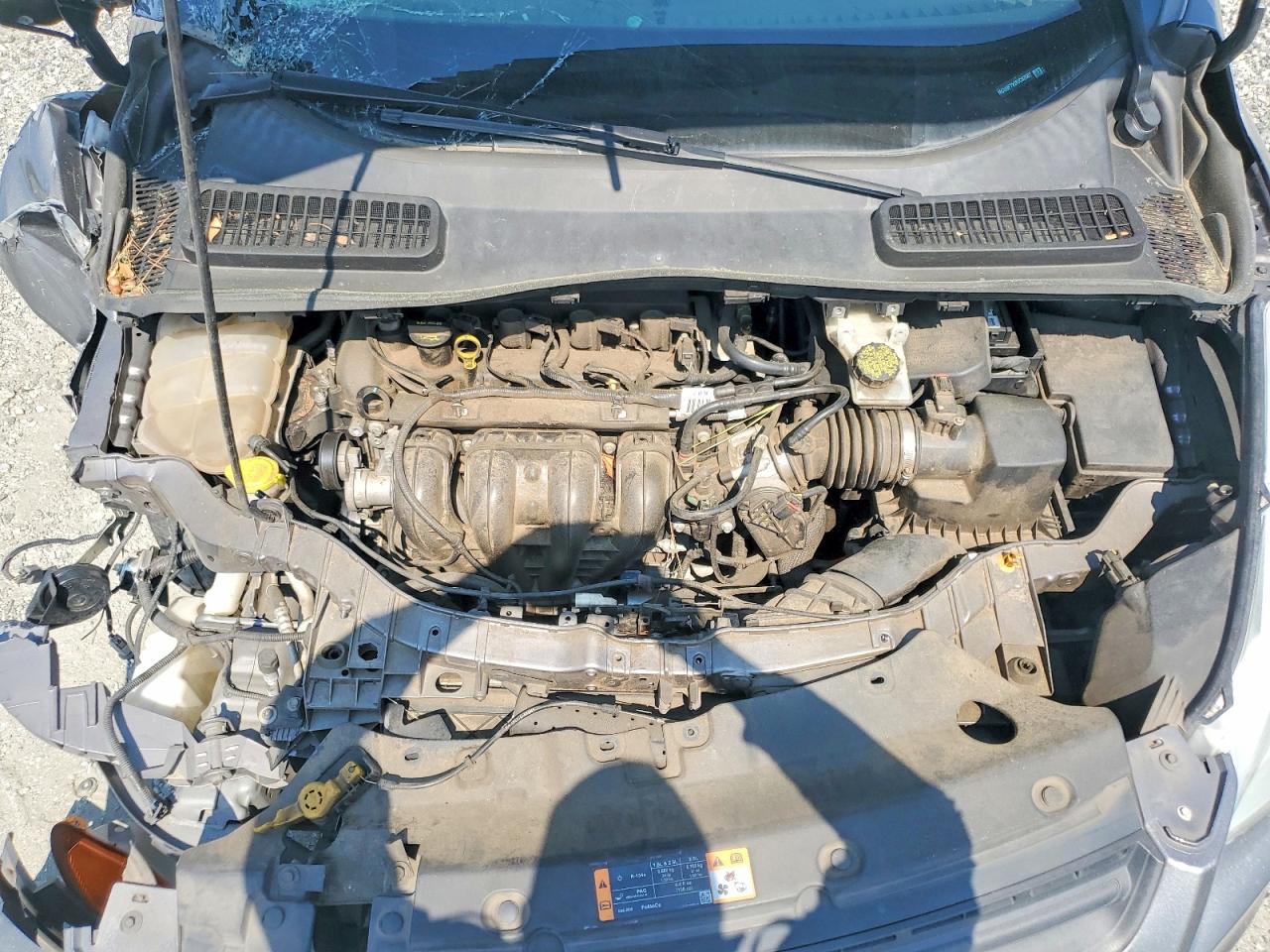 Ford Escape S