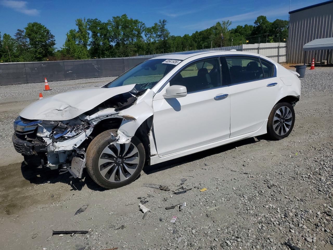 Salvage Honda Accord Image