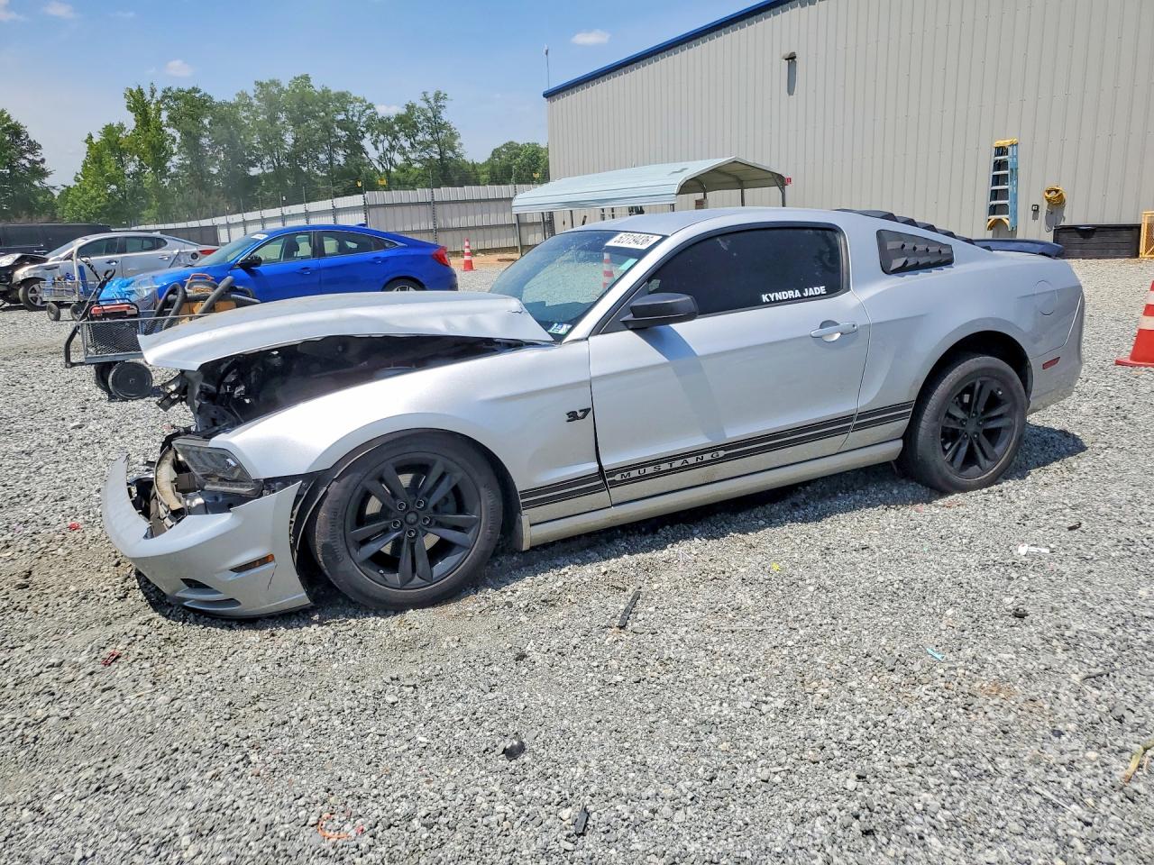 Salvage Ford Mustang Image