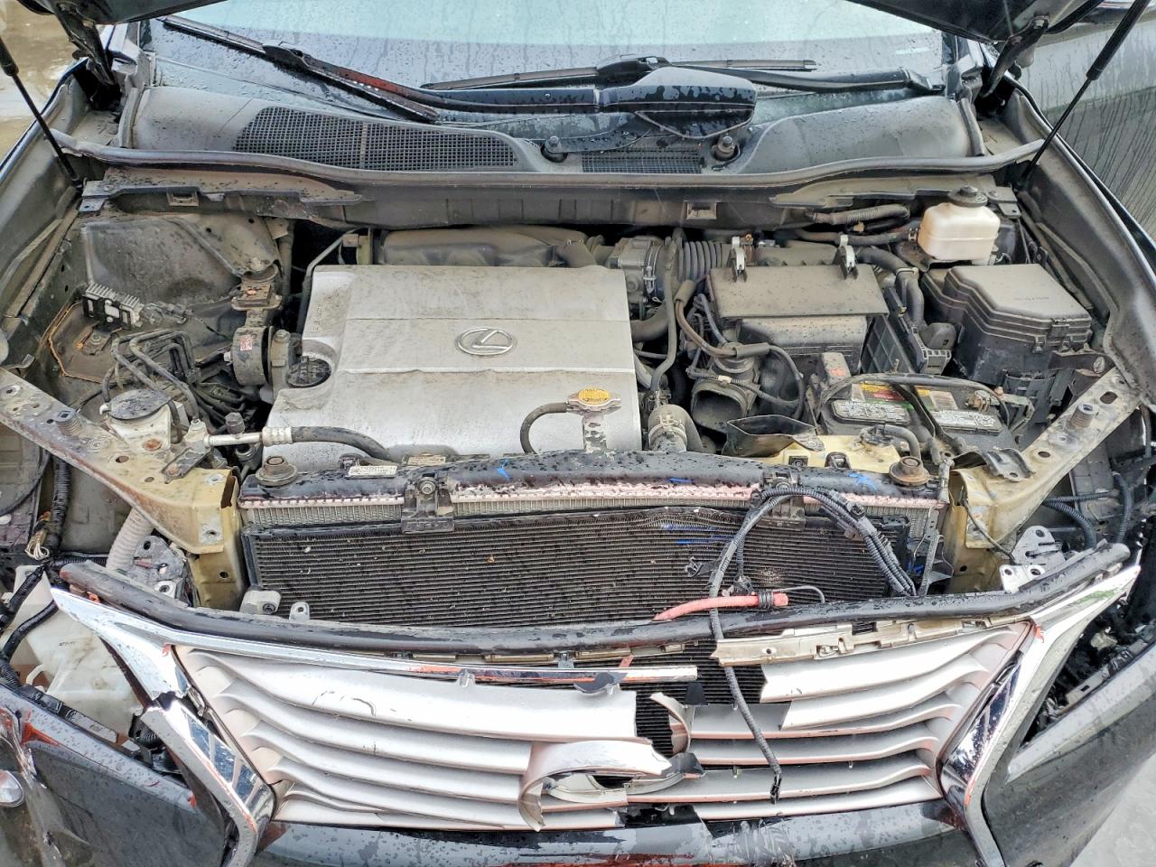 Lexus RX Base