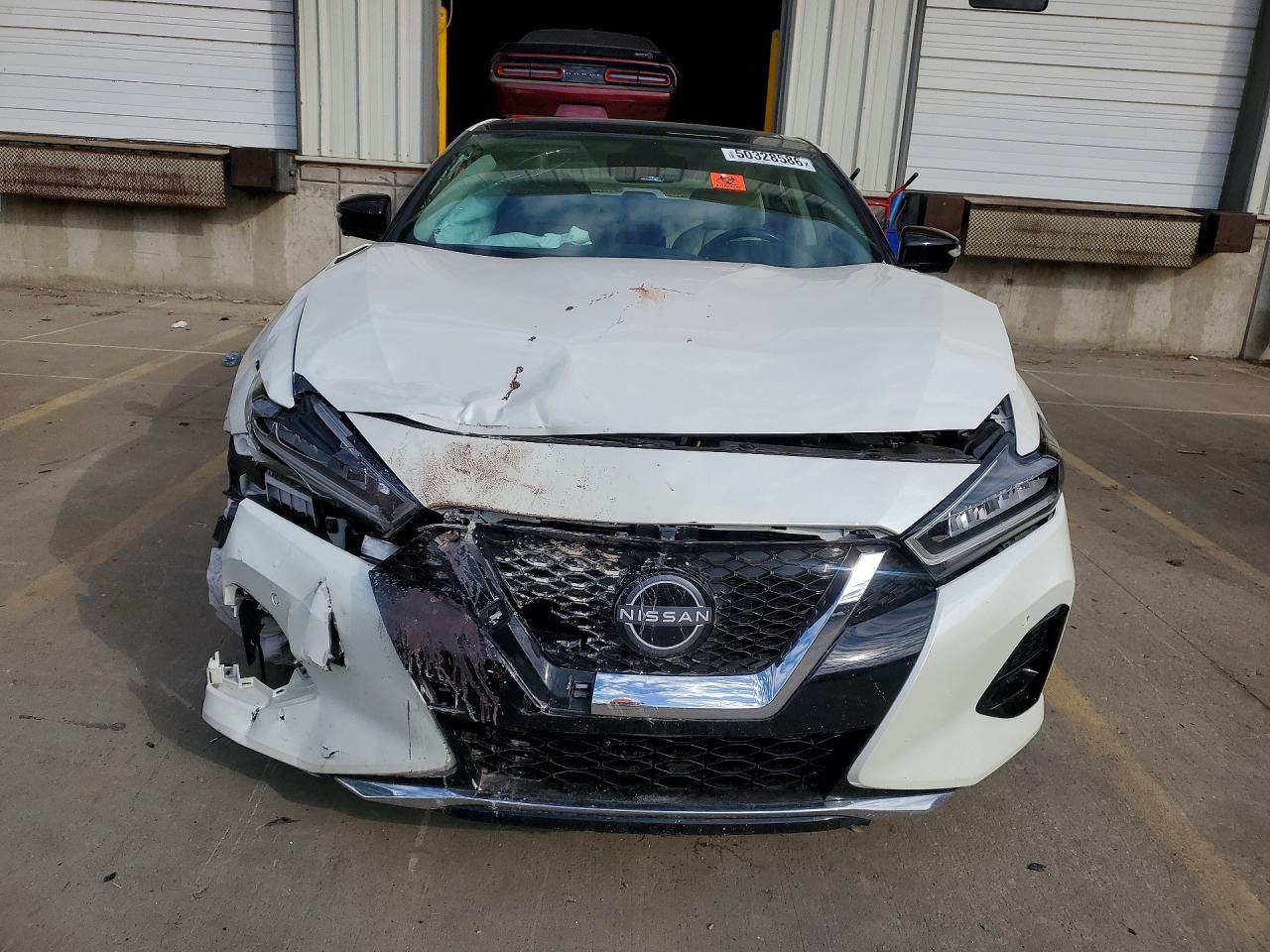 Nissan Maxima Platinum