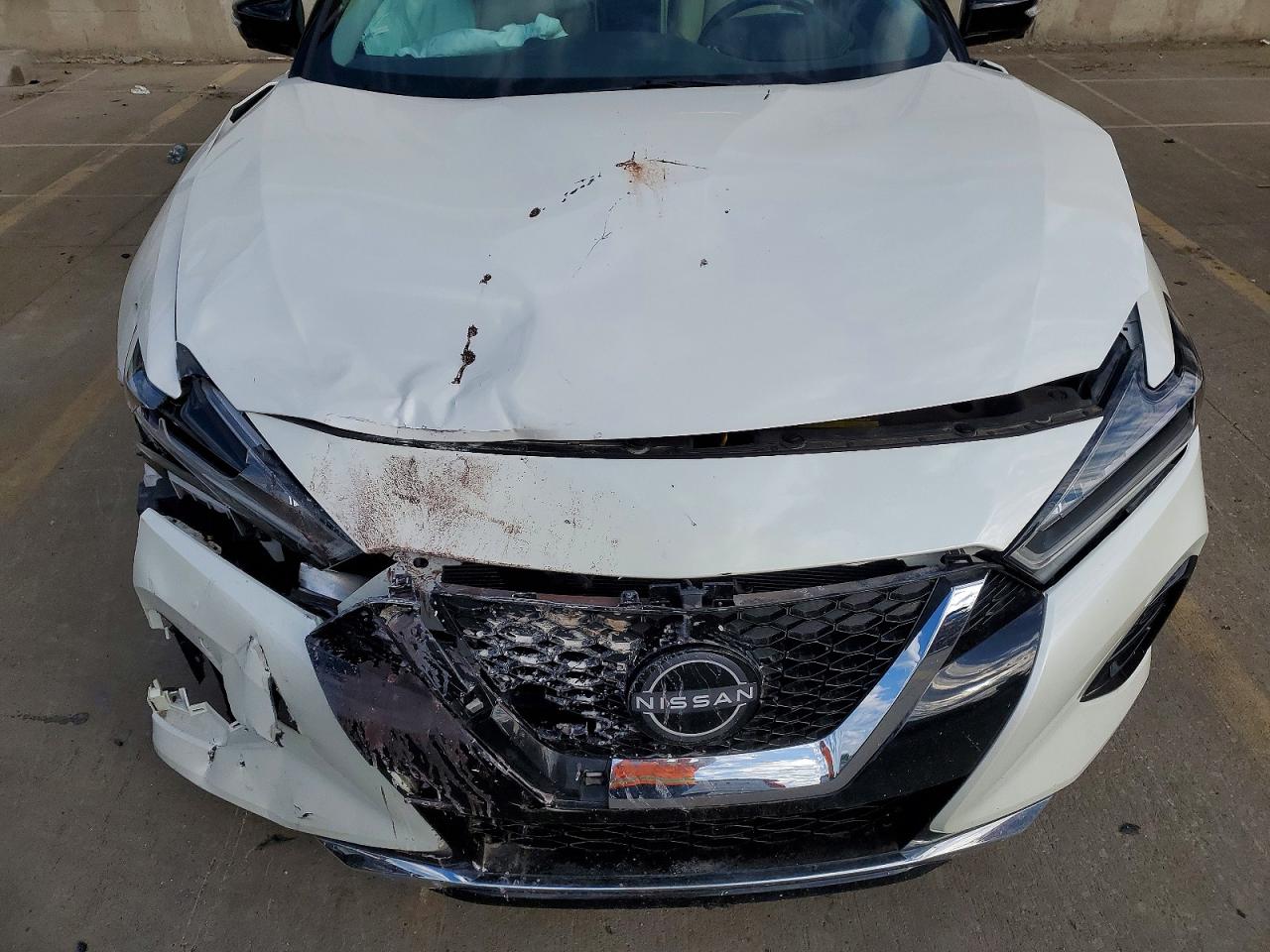 Nissan Maxima Platinum