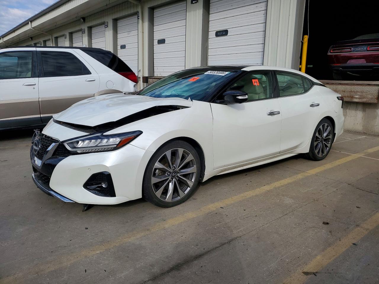 2023 Nissan Maxima