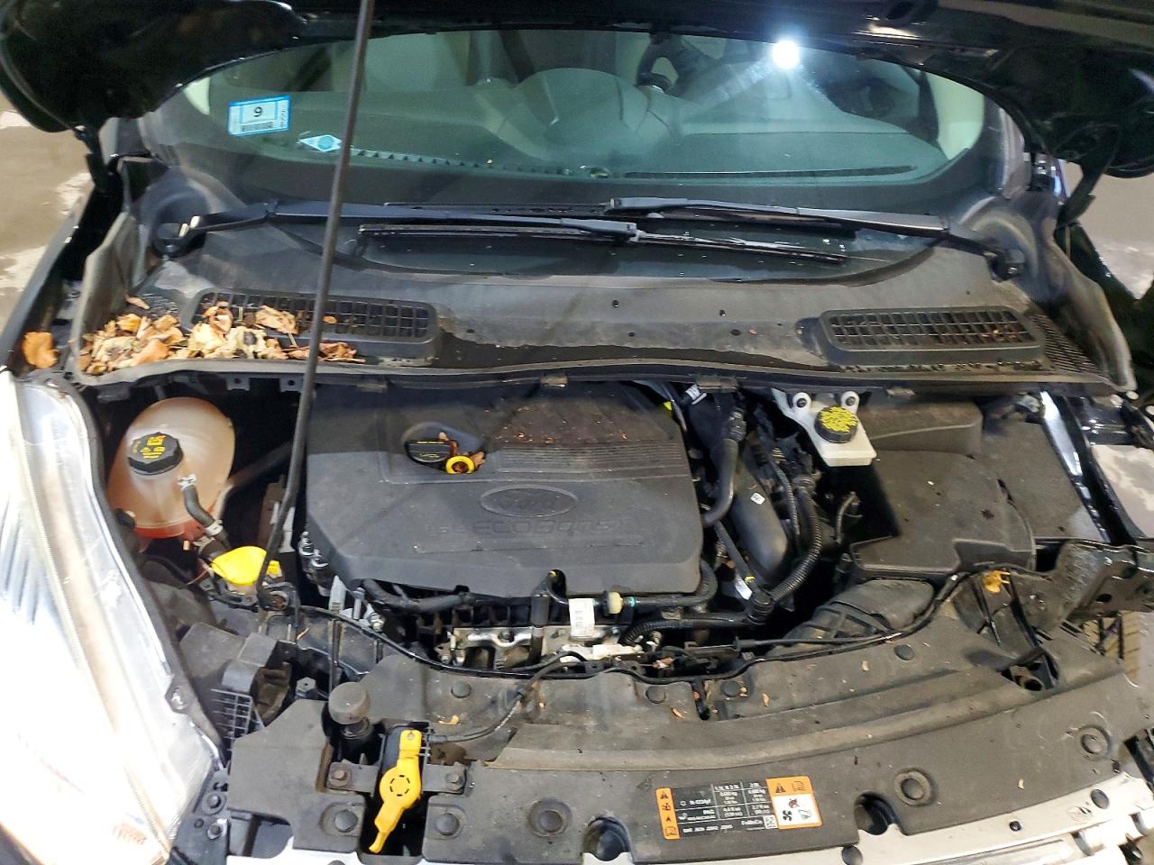 Ford Escape Se