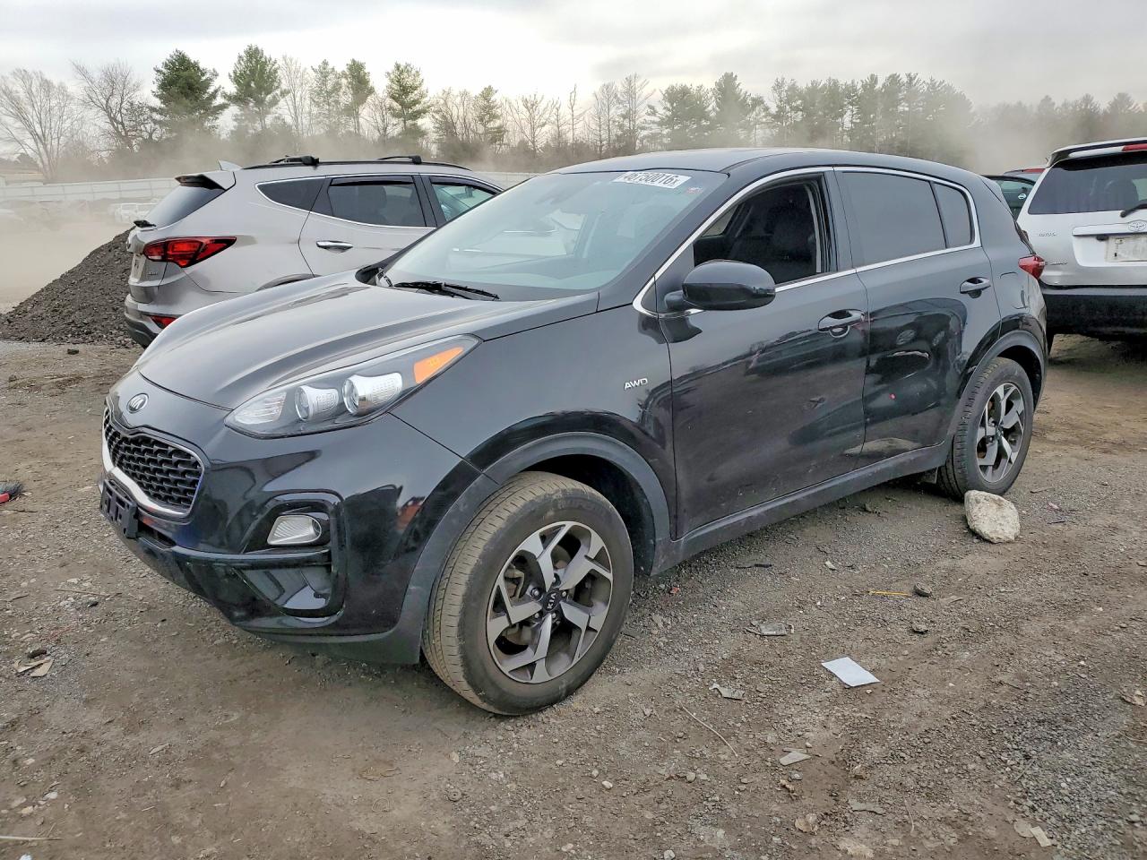 Salvage Kia Sportage Image