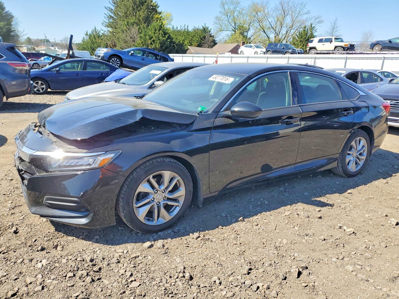 Salvage Honda Accord Image